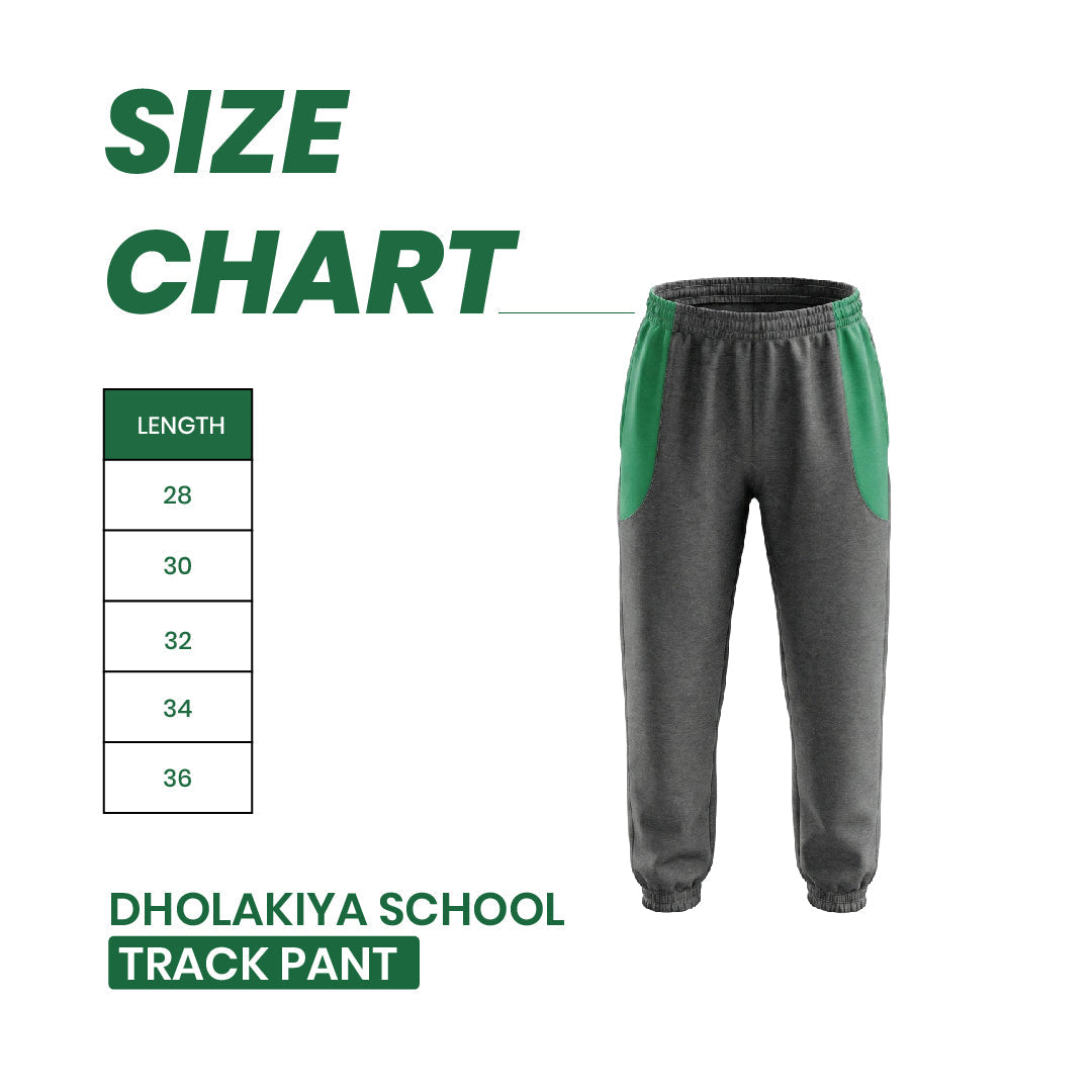 Dholakiya School Sports Uniform Track Pant – Grey with Green strips