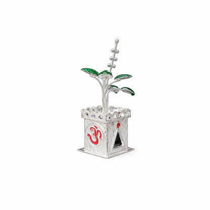 Shivora Silver Tulsi Plant