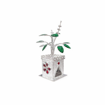 Shivora Elegant Silver Tulsi Plant