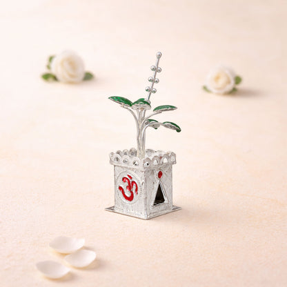 Shivora Silver Tulsi Plant