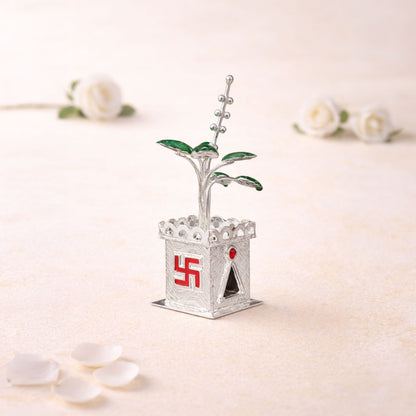 Shivora Decorative Tulsi Plant (Small)