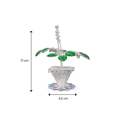 Shivora Traditional Tulsi Plant