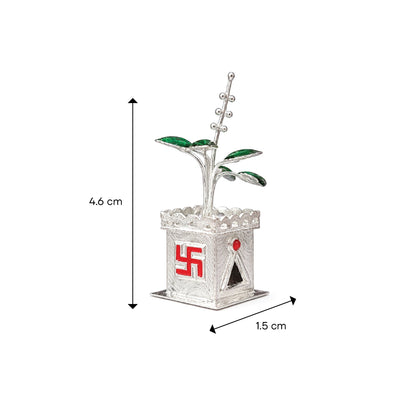 Shivora Decorative Tulsi Plant (Small)