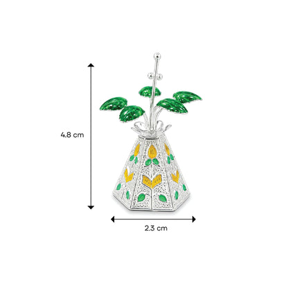 Shivora Silver Star-Shaped Tulsi Plant
