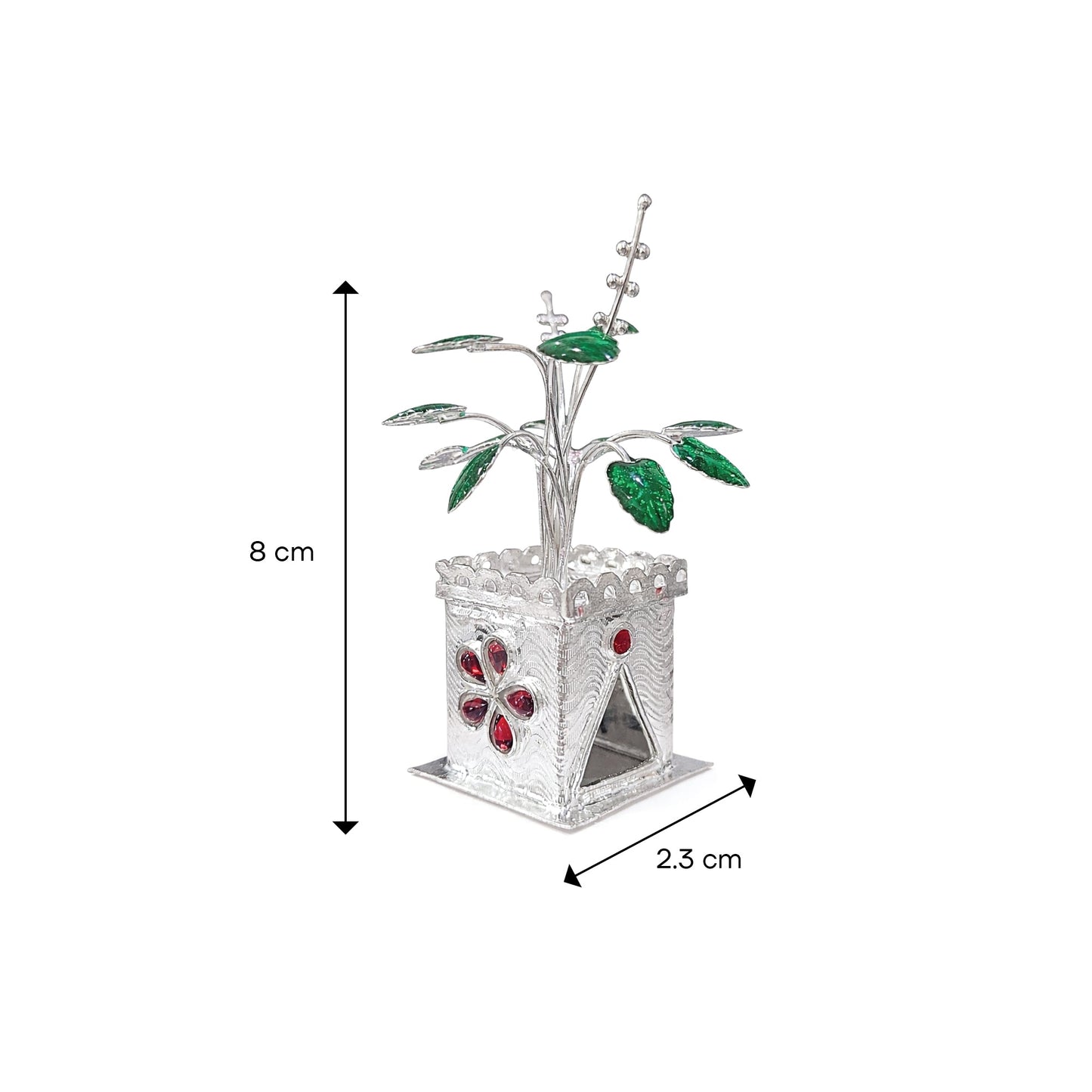 Shivora Elegant Silver Tulsi Plant