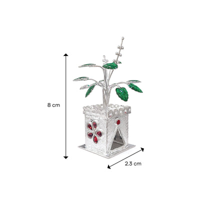 Shivora Elegant Silver Tulsi Plant