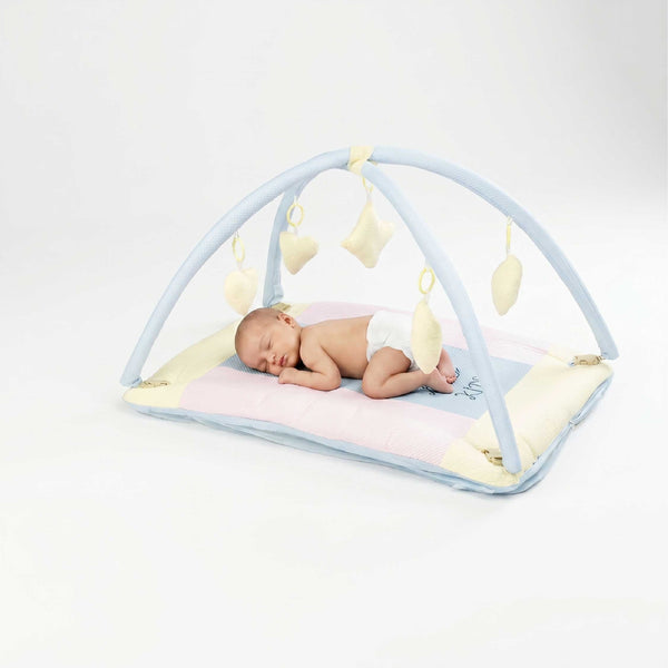 Bubzee Baby Carry Bed with Mosquito Net – Soft Cushioned Bedding Sky Blue