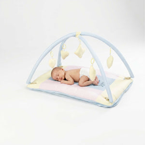Bubzee Baby Carry Bed with Mosquito Net – Soft Cushioned Bedding Sky Blue
