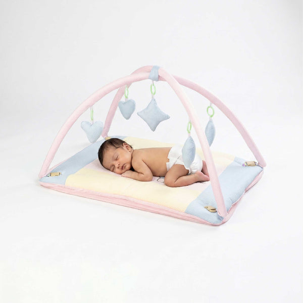 Bubzee Baby Carry Bed with Mosquito Net – Soft Cushioned Bedding Pink