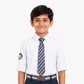 Shri Raj School Uniform Formal Boy Shirt ( 11 & 12 Commerce)