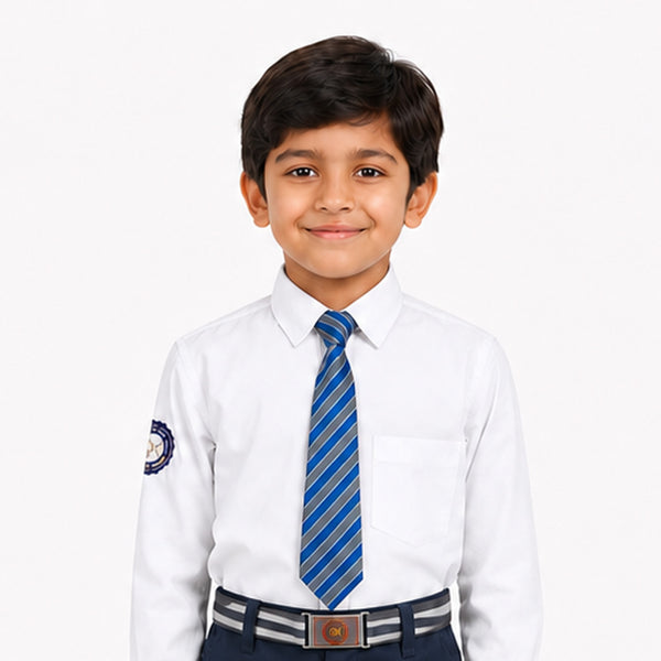 Shri Raj School Uniform Necktie | Blue & Grey