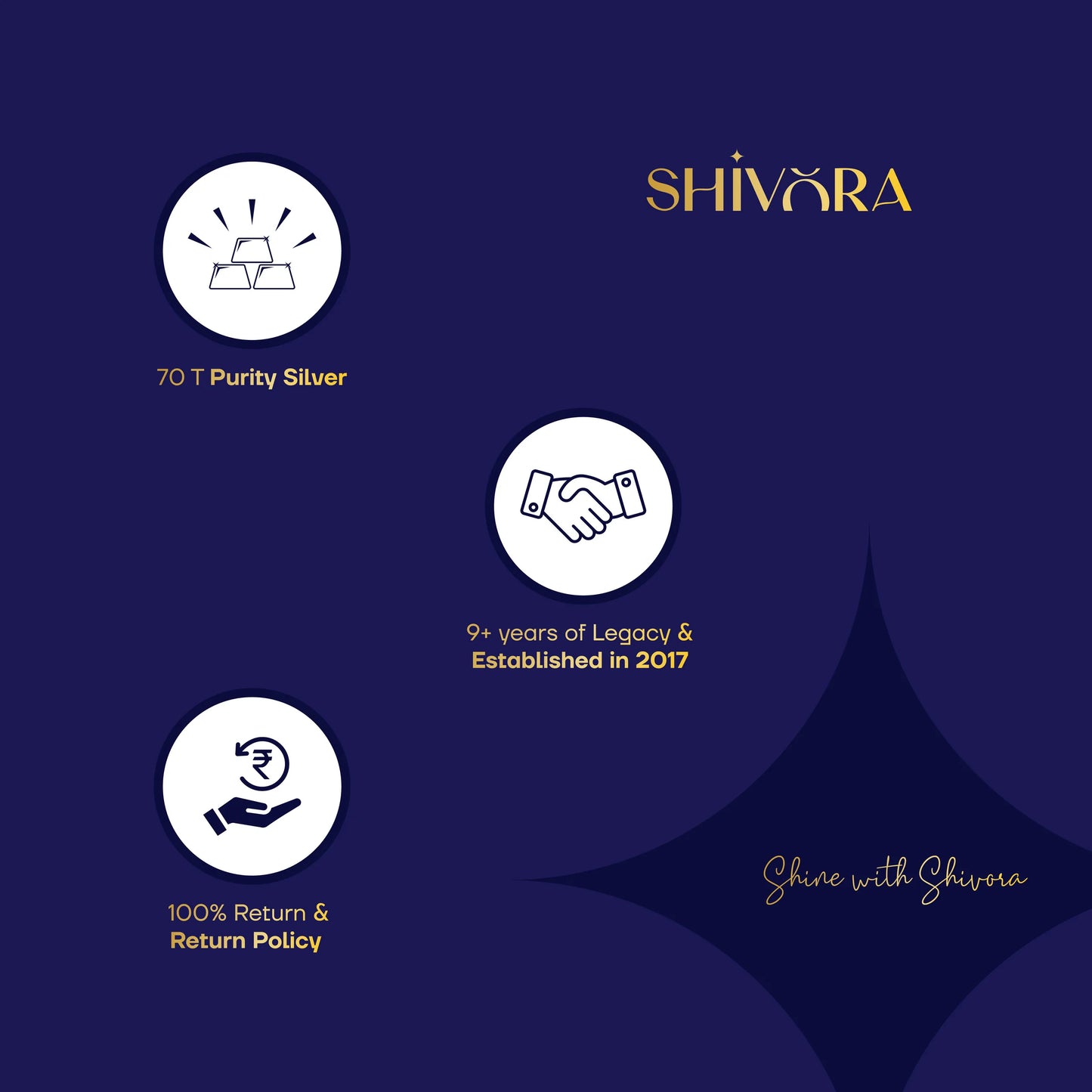 Shivora Elegant Silver Tulsi Plant