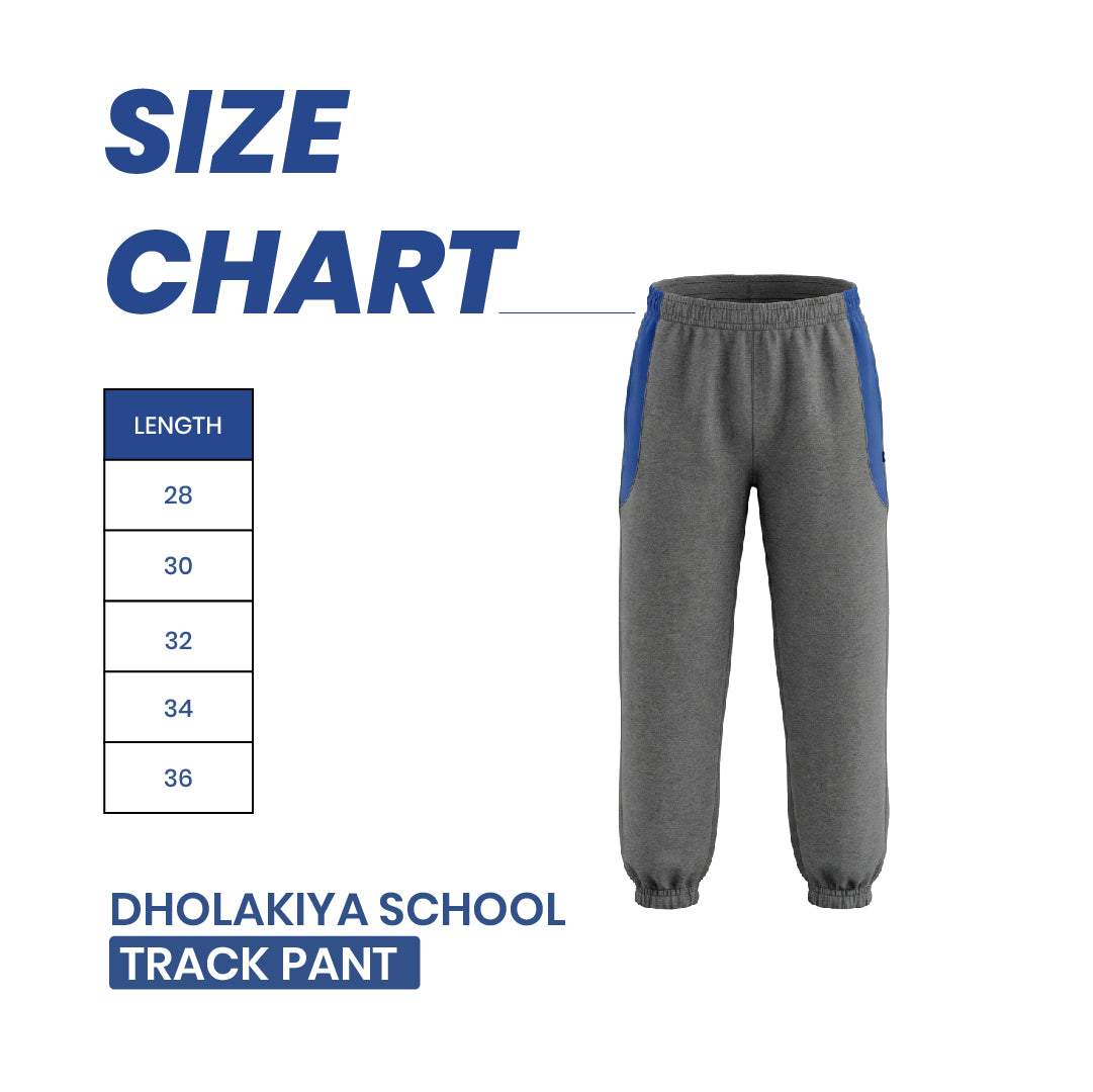 Dholakiya School Sports Uniform Track  Pant – Grey with Blue strips