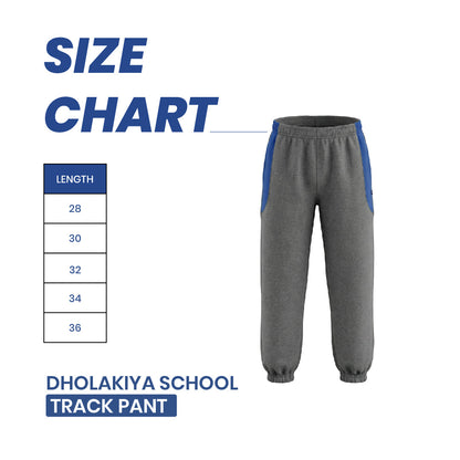 Dholakiya School Sports Uniform Track  Pant – Grey with Blue strips