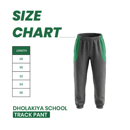 Dholakiya School Sports Uniform Track  Pant – Grey with Green strips