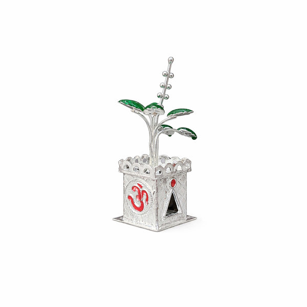 Shivora Silver Tulsi Plant